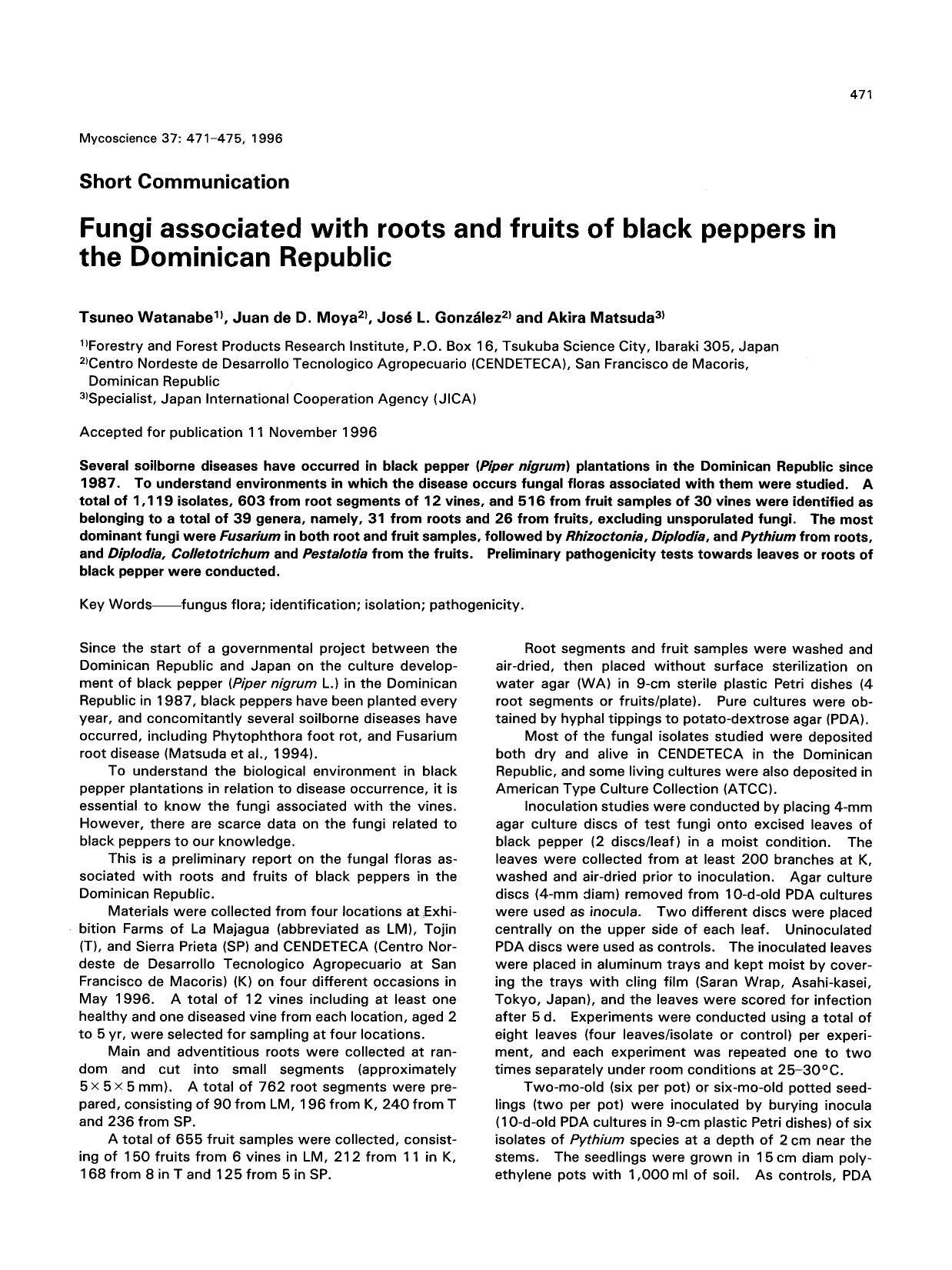 Fungi associated with roots and fruits of black peppers in the Dominican Republic by Unknown