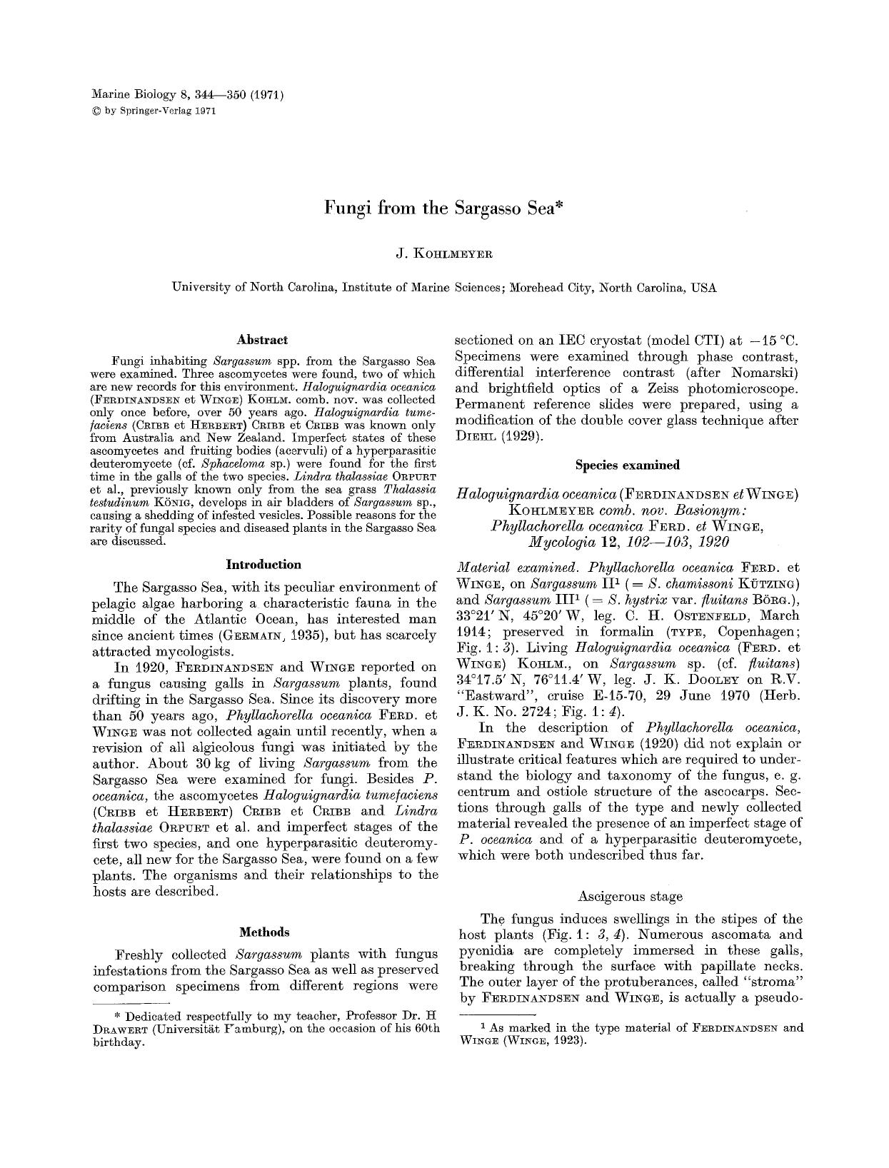 Fungi from the Sargasso Sea by Unknown