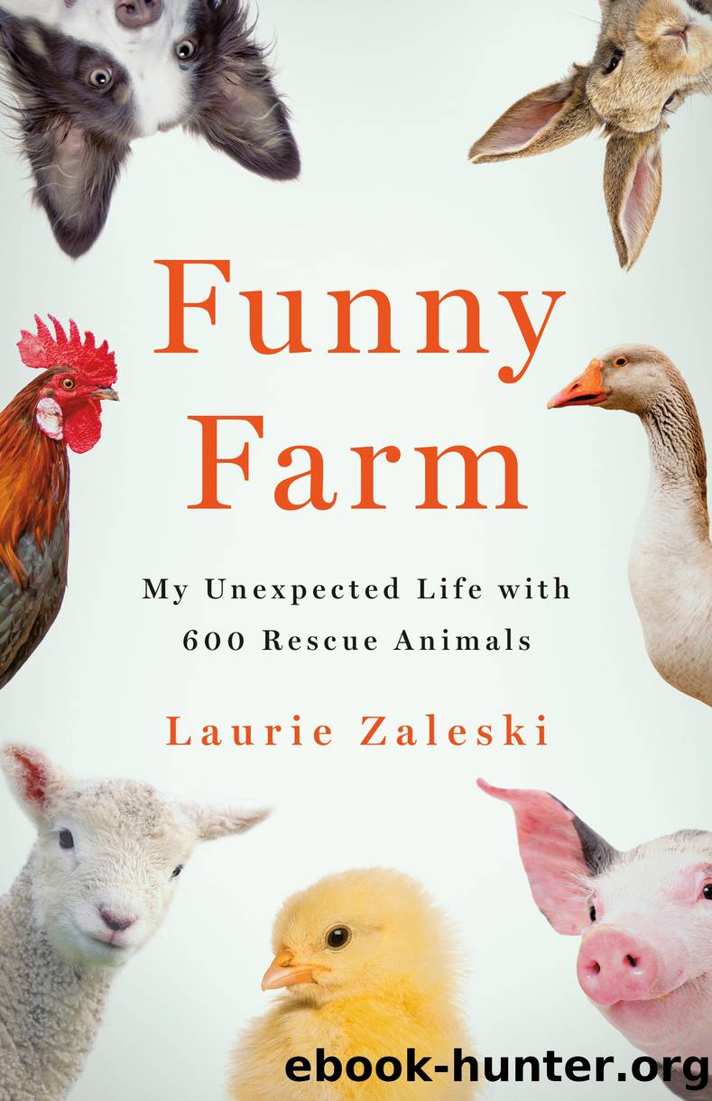 Funny Farm by Laurie Zaleski