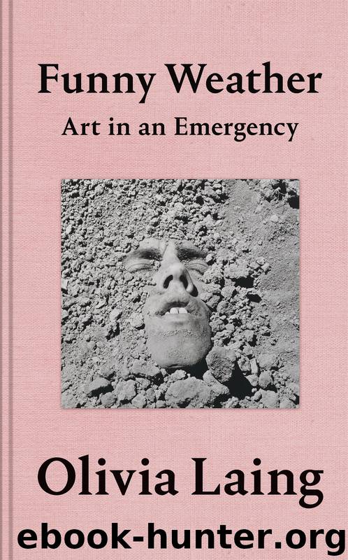 Funny Weather by Olivia Laing