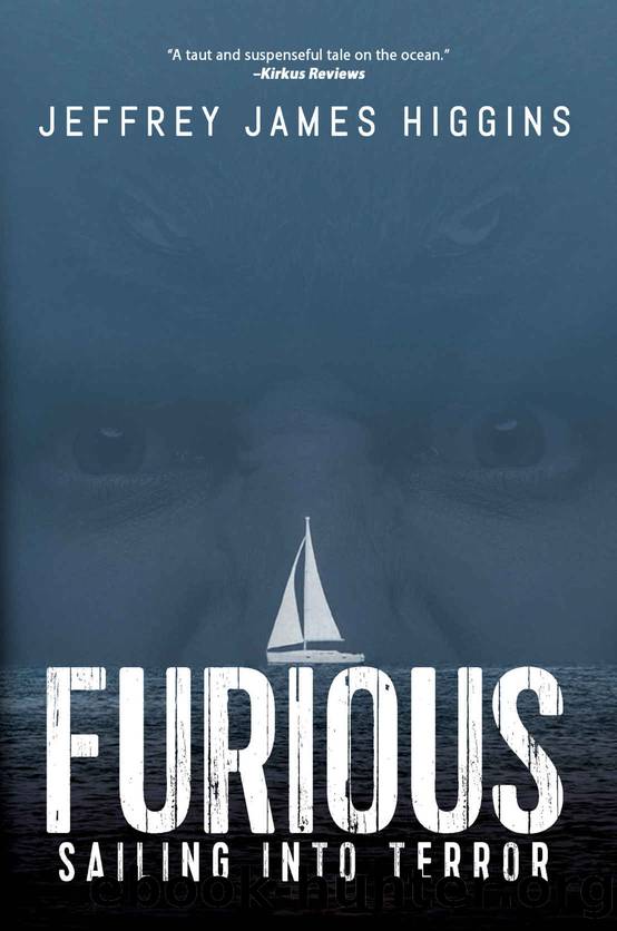 Furious by Jeffrey James Higgins