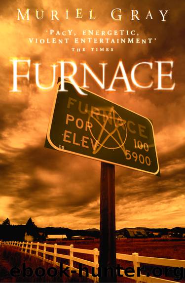 Furnace by Muriel Gray