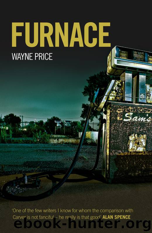 Furnace by Wayne Price