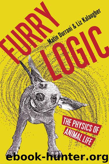 Furry Logic: The Physics of Animal Life by Matin Durrani & Liz Kalaugher