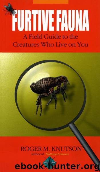 Furtive Fauna by Roger M. Knutson