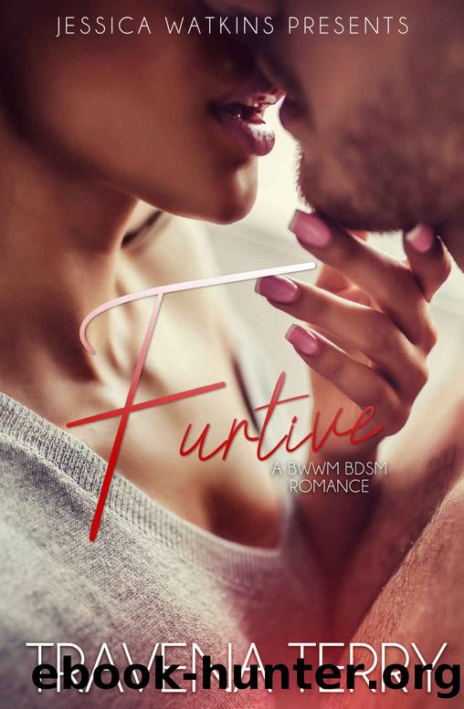Furtive: A BWWM, BDSM romance by Terry Travena