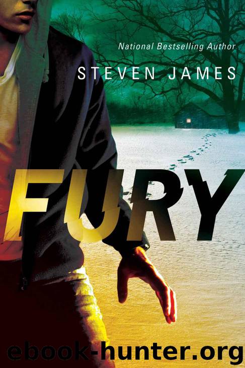 Fury (Blur Trilogy Book 2) by James Steven