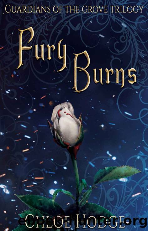 Fury Burns by Chloe Hodge