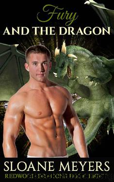 Fury and the Dragon (Redwood Dragons Book 8) by Sloane Meyers