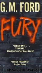 Fury by Ford G. M
