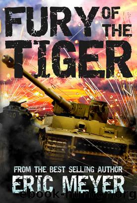 Fury of the Tiger by Eric Meyer