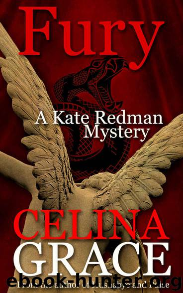 Fury: (A Kate Redman Mystery: Book 11) (The Kate Redman Mysteries) by Celina Grace