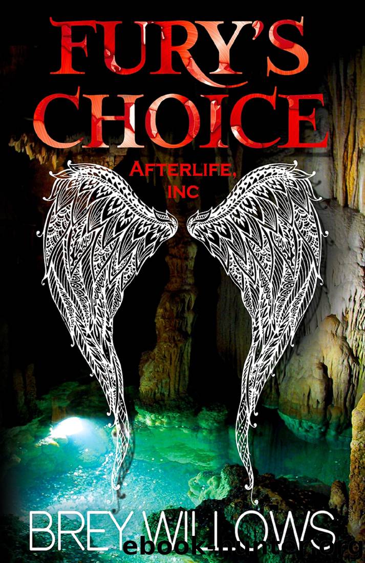 Fury’s Choice by Brey Willows