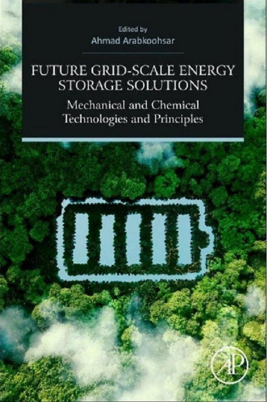 Future Grid-Scale Energy Storage Solutions: Mechanical and Chemical Technologies and Principles by Ahmad Arabkoohsar