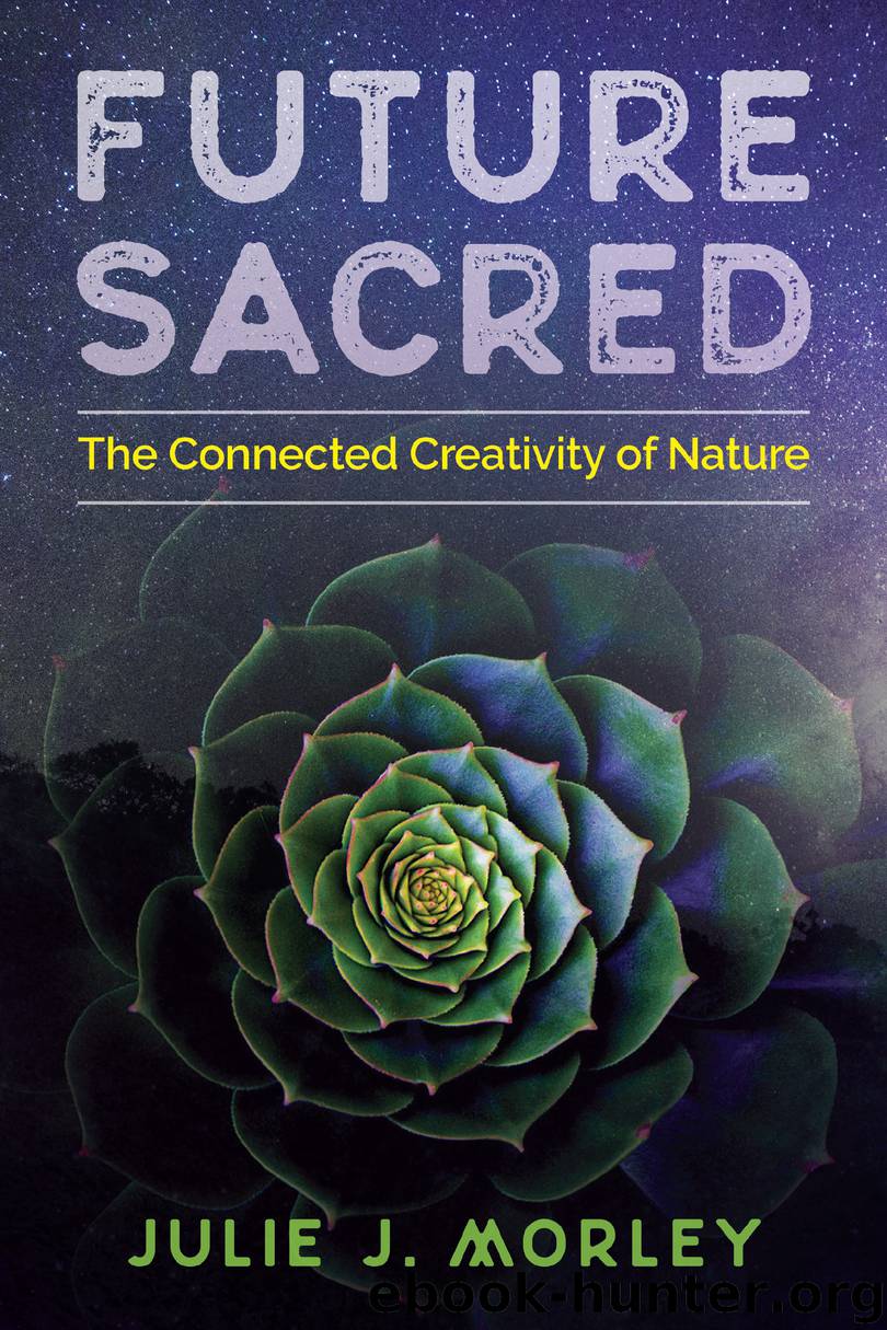 Future Sacred by Julie J. Morley