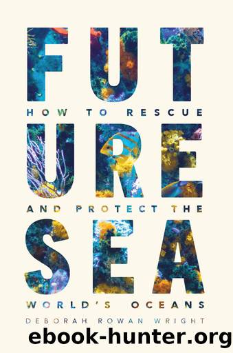 Future Sea by Deborah Rowan Wright