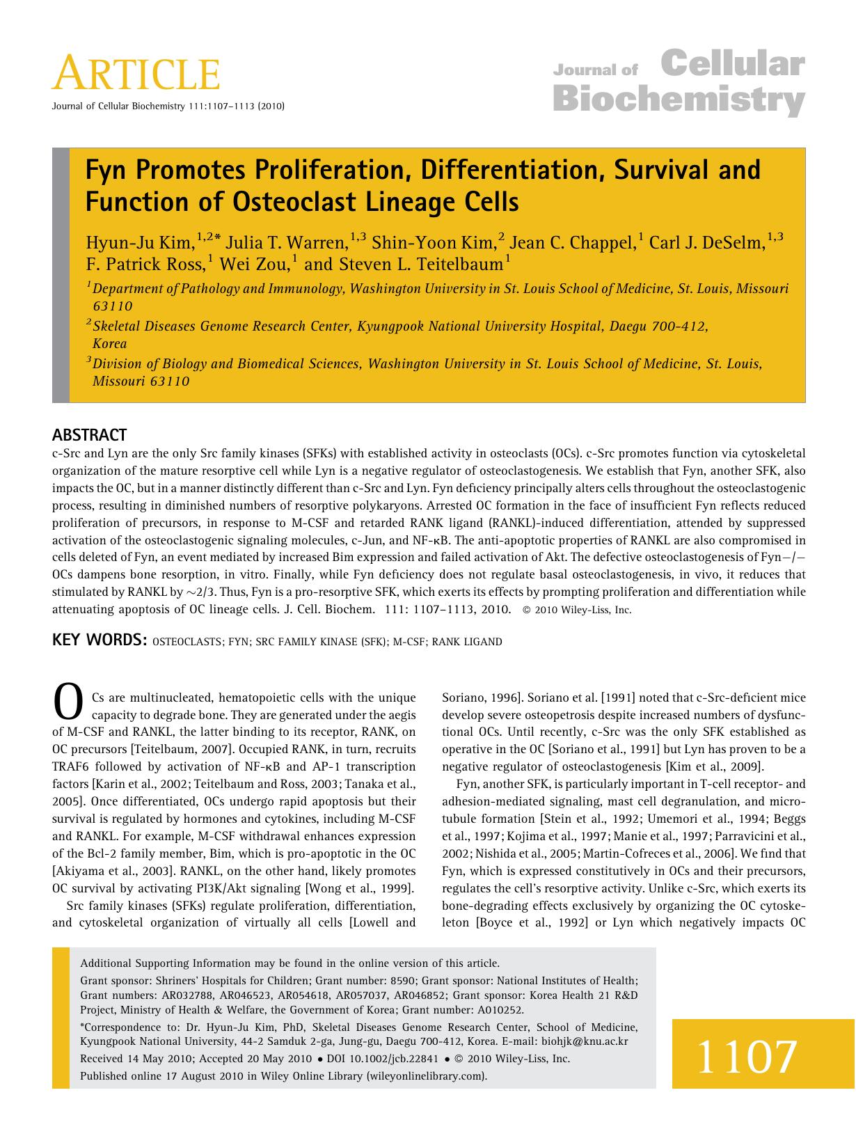 Fyn promotes proliferation, differentiation, survival and function of osteoclast lineage cells by Unknown