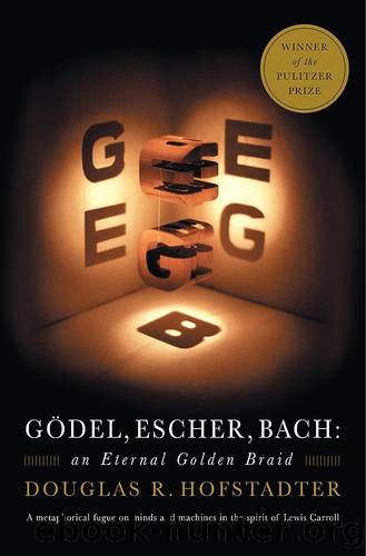 GÃ¶del, Escher, Bach: An Eternal Golden Braid by Hofstadter Douglas R