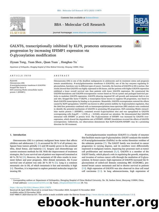 GALNT6, transcriptionally inhibited by KLF9, promotes osteosarcoma progression by increasing EFEMP1 expression via O-glycosylation modification by Ziyuan Tong & Yuan Shen & Quan Yuan & Honghao Yu