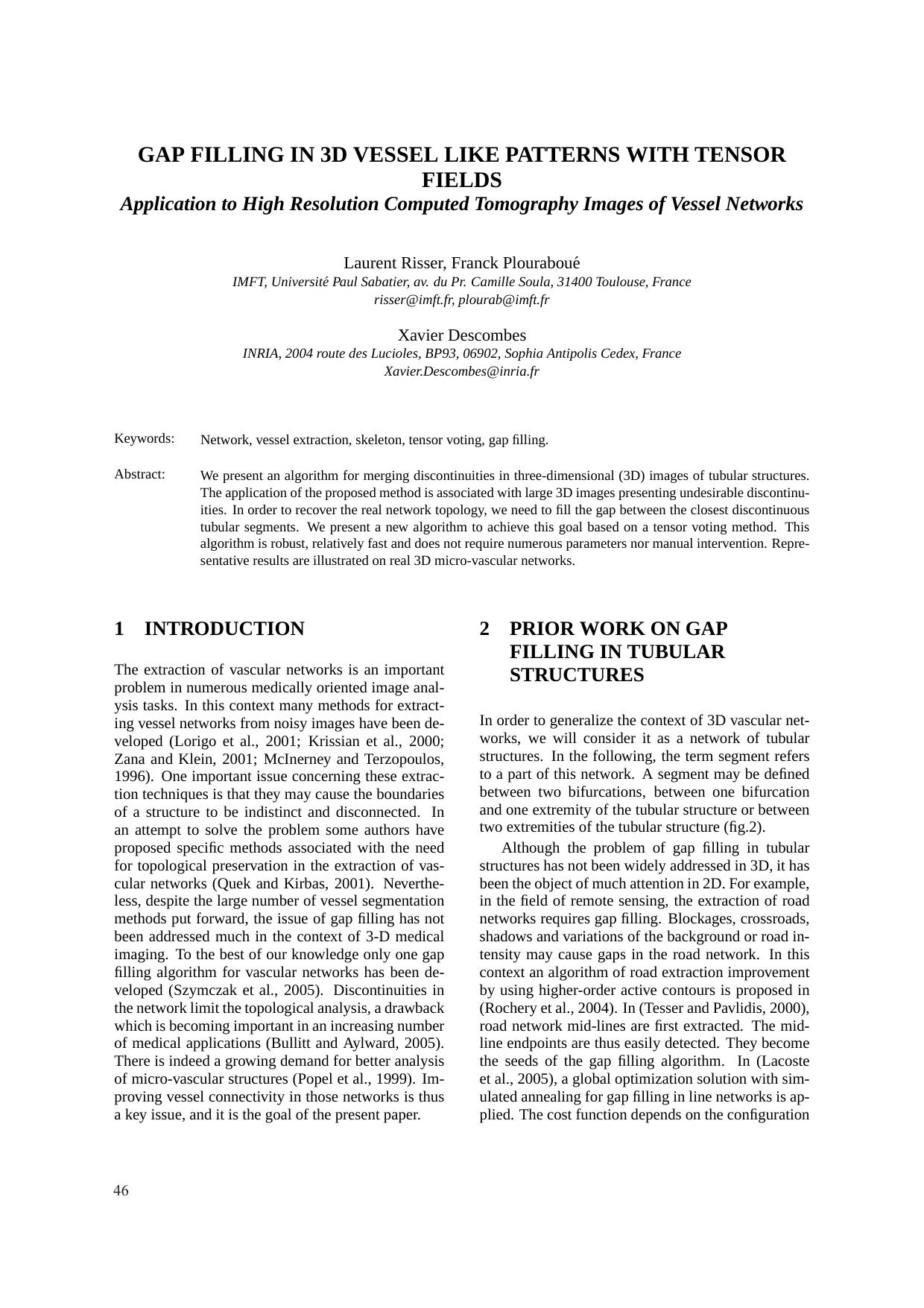 GAP FILLING IN 3D VESSEL LIKE PATTERNS WITH TENSOR FIELDS - Application to High Resolution Computed Tomography Images of Vessel Networks by Laurent Risser Franck Plouraboué & Xavier Descombes