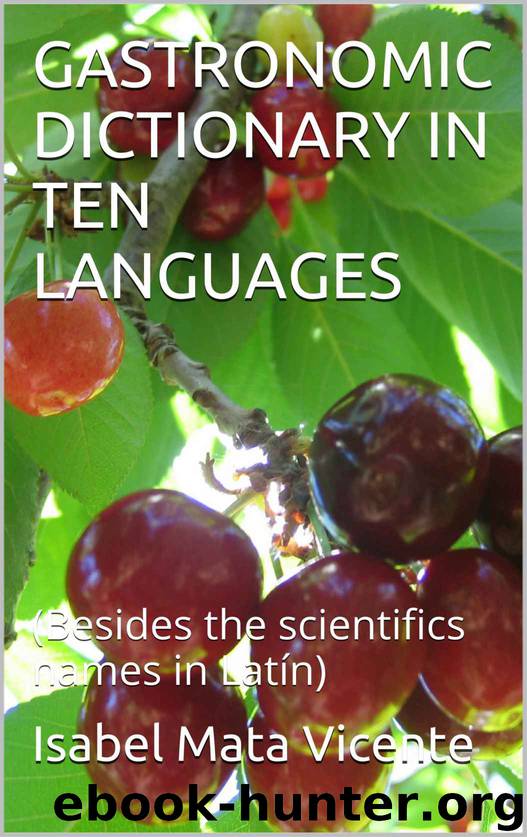 GASTRONOMIC DICTIONARY IN TEN LANGUAGES by Mata Vicente Isabel