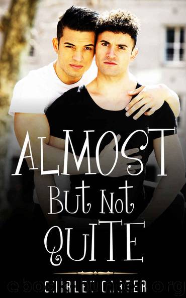 GAY ROMANCE: Almost But Not Quite (First time gay romance Collection) by Shirley Carter