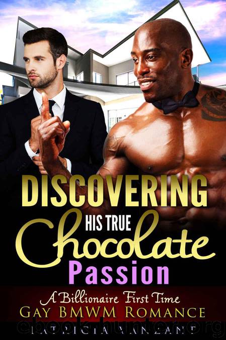 GAY ROMANCE: First Time Gay Romance: Discovering His True Chocolate Passion (Billionaire Navy Seal Bad Boy Romance) (BMWM Alpha Male LGBT Bad Boy Romance Short Stories) by Patricia Vanzant