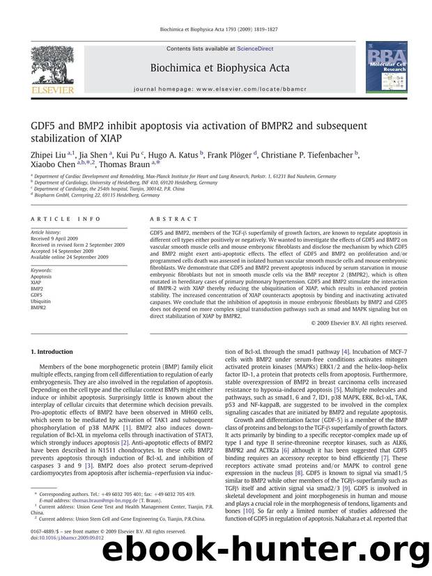 GDF5 and BMP2 inhibit apoptosis via activation of BMPR2 and subsequent stabilization of XIAP by unknow