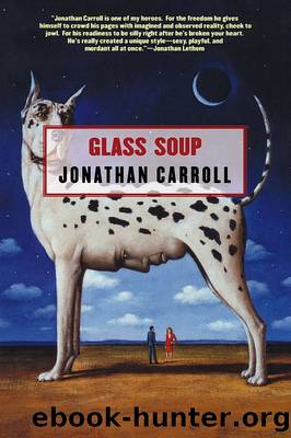 GLASS SOUP by Jonathan Carroll