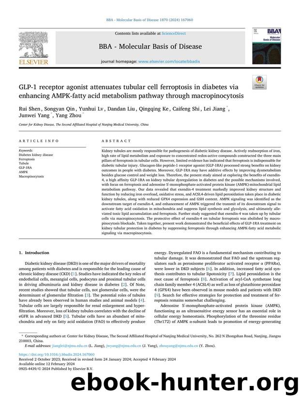 GLP-1 receptor agonist attenuates tubular cell ferroptosis in diabetes via enhancing AMPK-fatty acid metabolism pathway through macropinocytosis by unknow