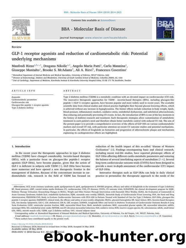 GLP-1 receptor agonists and reduction of cardiometabolic risk_ Potential underlying mechanisms by unknow