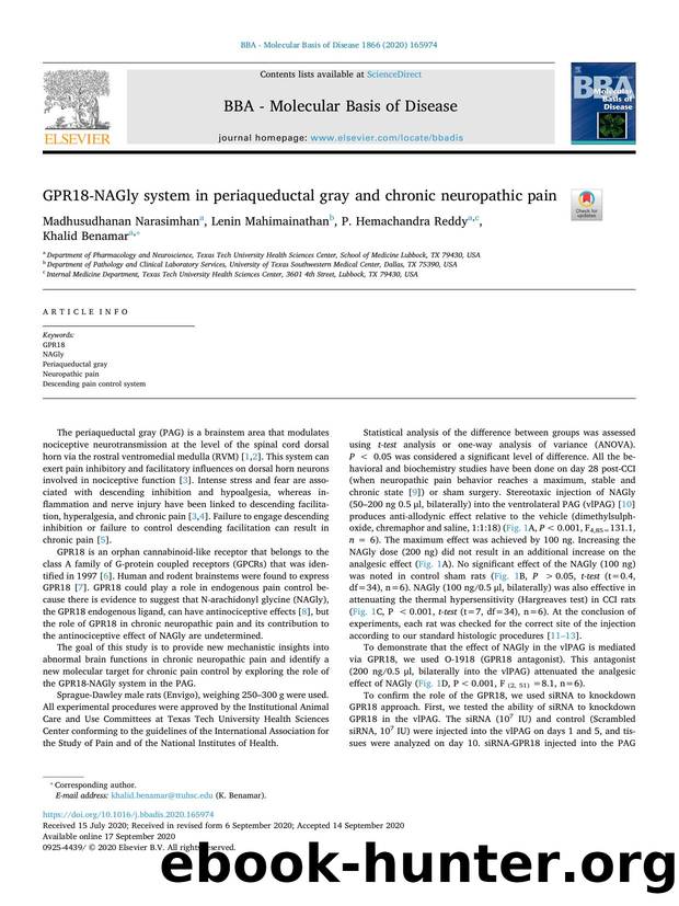 GPR18-NAGly system in periaqueductal gray and chronic neuropathic pain by Madhusudhanan Narasimhan & Lenin Mahimainathan & P. Hemachandra Reddy & Khalid Benamar