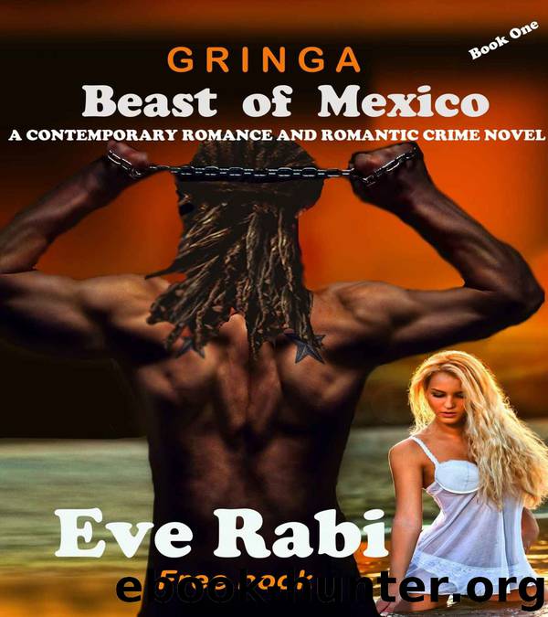GRINGA: The Beast of Mexico (A contemporary romance and romantic crime thriller. A free book) by Eve Rabi