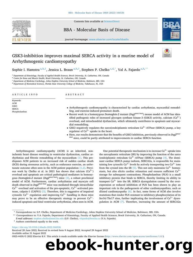 GSK3-inhibition improves maximal SERCA activity in a murine model of Arrhythmogenic cardiomyopathy by Sophie I. Hamstra & Jessica L. Braun & Stephen P. Chelko & Val A. Fajardo