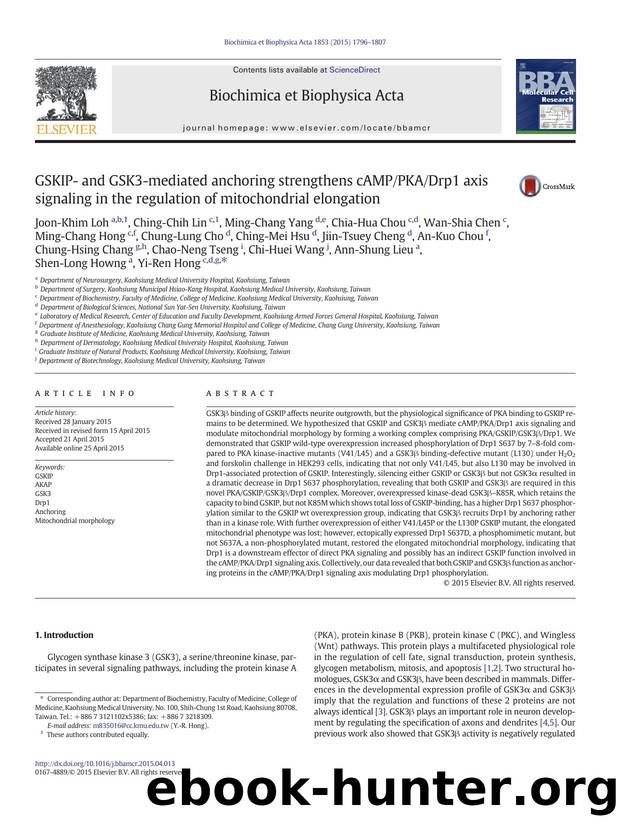 GSKIP- and GSK3-mediated anchoring strengthens cAMPPKADrp1 axis signaling in the regulation of mitochondrial elongation by unknow