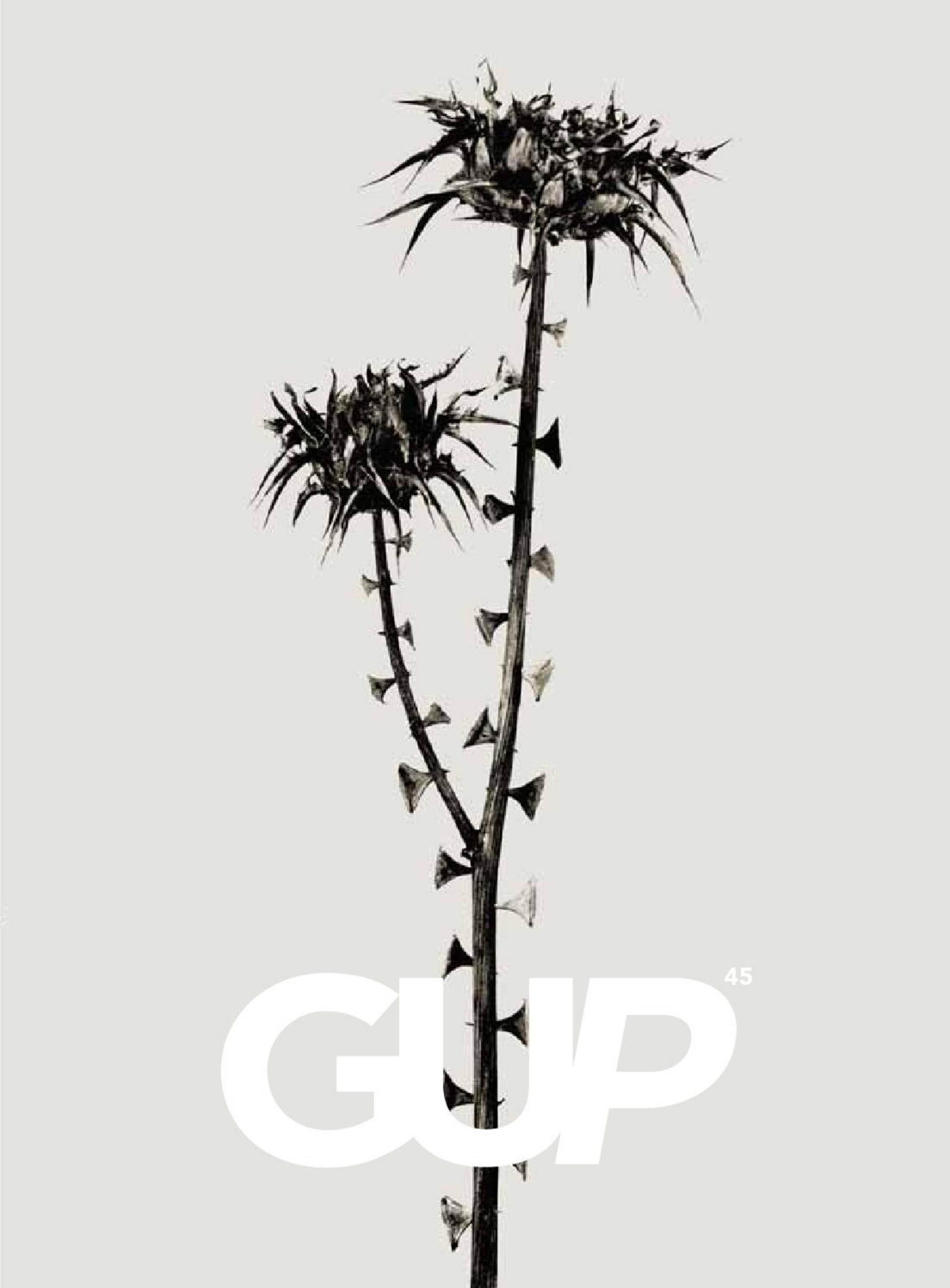 GUP issue #45, 2015 (Evolution) by Unknow