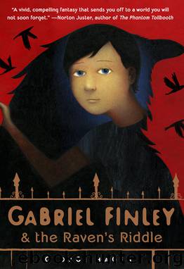 Gabriel Finley and the Raven's Riddle by George Hagen
