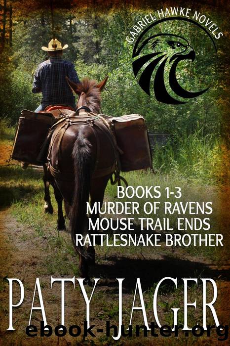 Gabriel Hawke Novels Books 1-3 by Paty Jager
