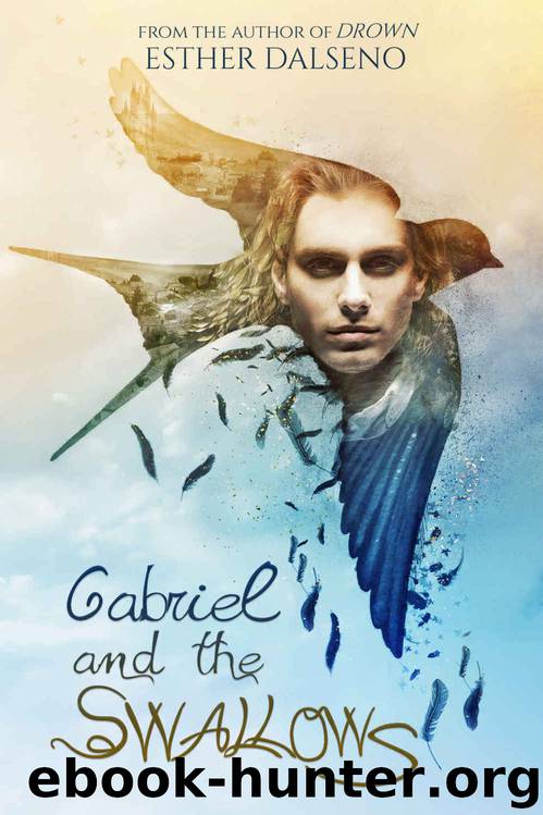 Gabriel and the Swallows (The Volatile Duology #1) by Esther Dalseno