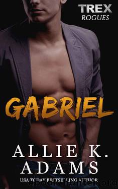 Gabriel by Allie K Adams