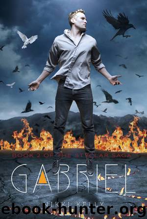 Gabriel by Nikki Kelly