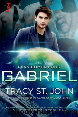 Gabriel by Tracy St. John