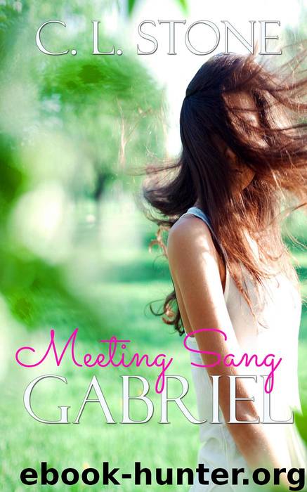 Gabriel: Meeting Sang #5 by C. L. Stone