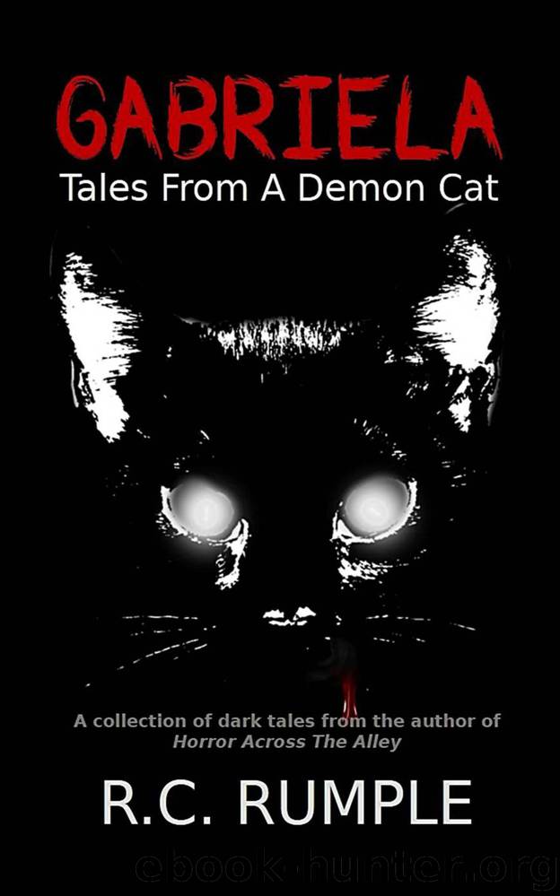 Gabriela_Tales from a Demon Cat by Richard Rumple