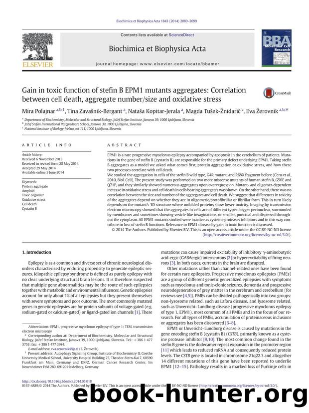 Gain in toxic function of stefin B EPM1 mutants aggregates: Correlation between cell death, aggregate numbersize and oxidative stress by unknow