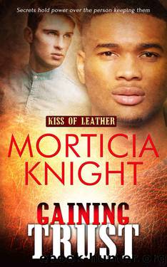 Gaining Trust (Kiss of Leather Book 5) by Morticia Knight