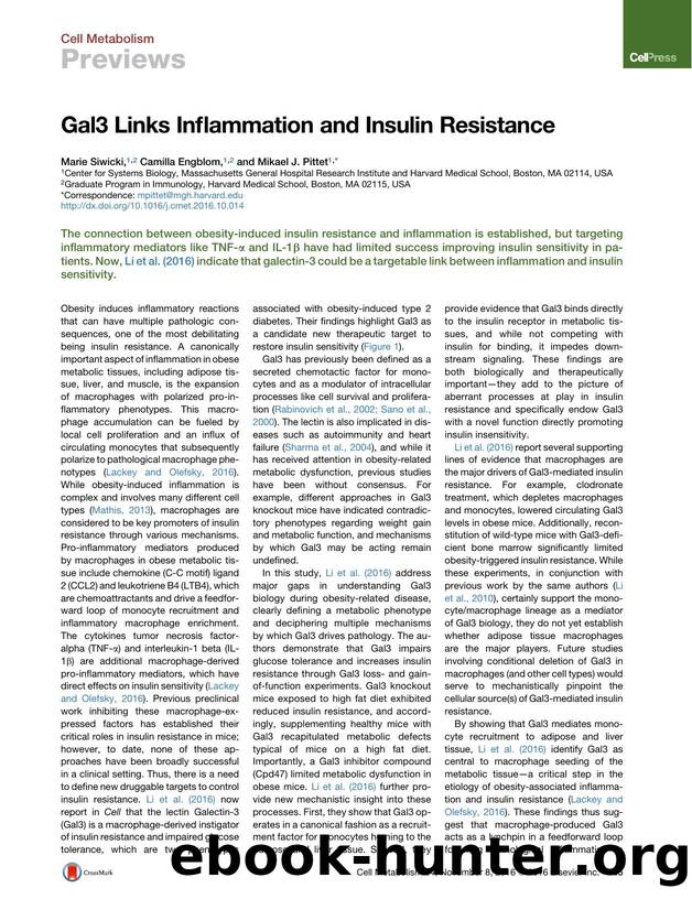Gal3 Links Inflammation and Insulin Resistance by Marie Siwicki & Camilla Engblom & Mikael J. Pittet