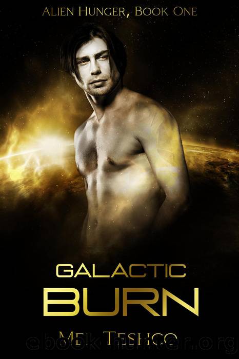 Galactic Burn by Mel Teshco