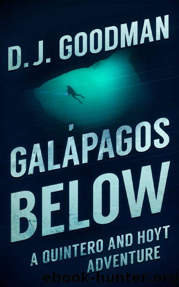 Galapagos Below by D J Goodman