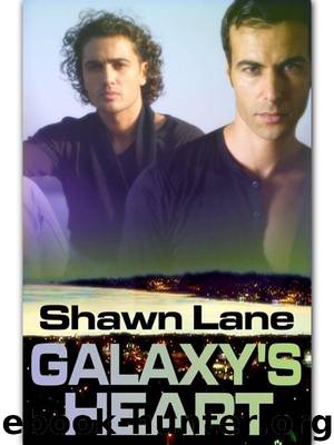 Galaxy's Heart by Shawn Lane